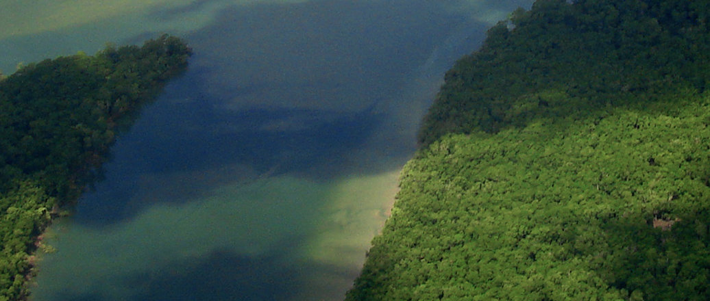 Imagem ilustrativa de paisagem