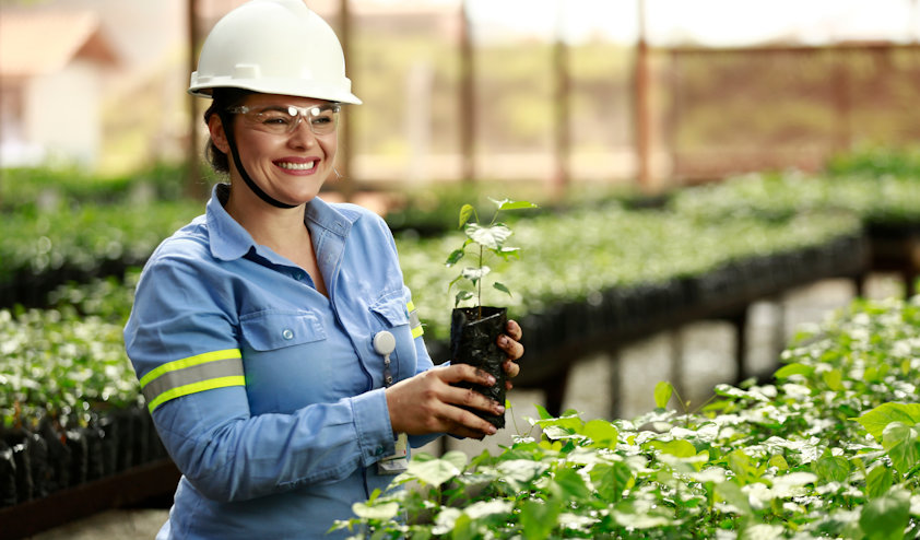 Employee in the greenhouse with plants for reforestation in Para, Brazil