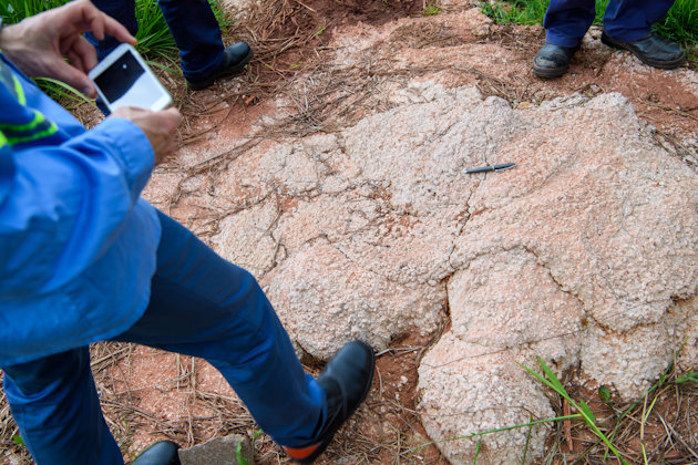 a person holding a phone