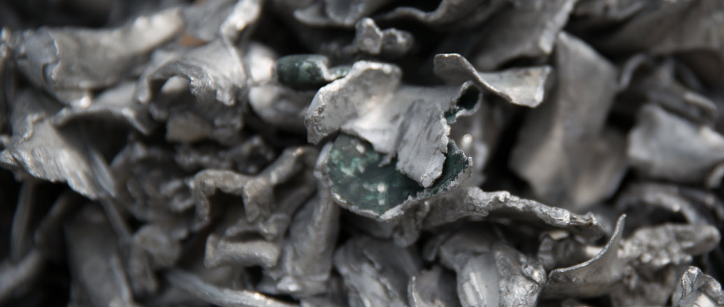 a frog on a pile of rocks