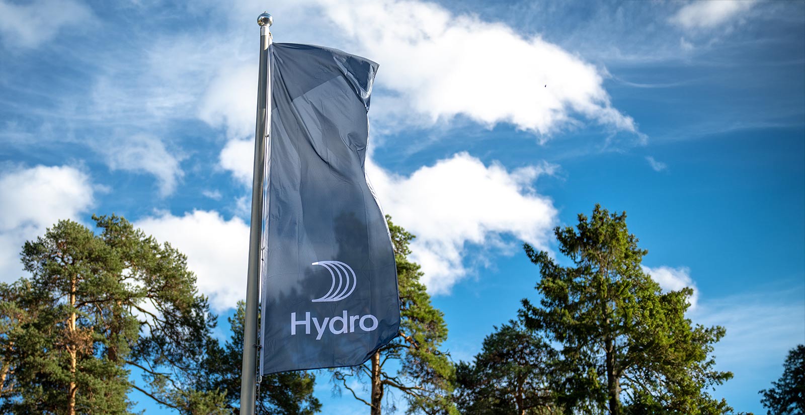 Hydro flag on a pole