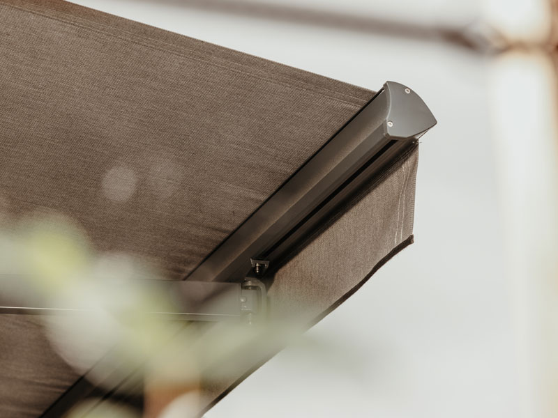 a close-up of a wallet